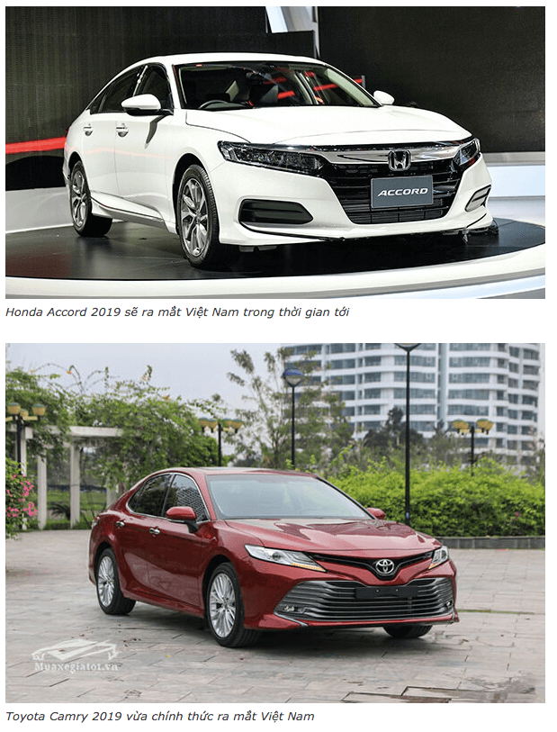 toyota camry 2019 va honda accord 2019 muaxebanxe com 1 So sánh Camry 2.5Q và Accord 2.4AT nhập khẩu Thái lan