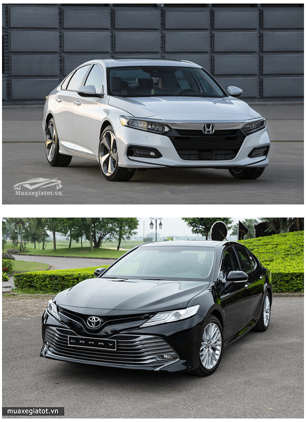 toyota-camry-2019-va-honda-accord-2019-muaxebanxe-com-2 toyota-camry-2019-va-honda-accord-2019-muaxebanxe-com-2