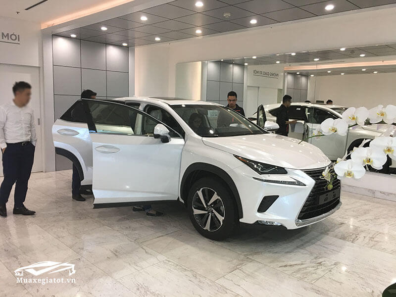 Lexus NX300 2022: Giá xe lăn bánh khuyến mãi, Mua bán xe trả góp gia xe Lexus nx300 2020 truecar vn Lexus NX300 2022: Giá xe lăn bánh khuyến mãi, Mua bán xe trả góp