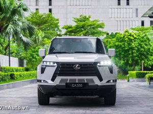 dau-xe-lexus-gx-550-2024-mau-trang-winauto-10 dau-xe-lexus-gx-550-2024-mau-trang-winauto-10