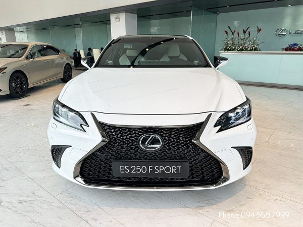 lexus es 250 f sport lexustrungtamsaigon vn 600x450 - Lexus ES 250 F Sport