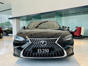 Lexus ES 250 lexus es 250 lexutrungtamsaigon 300x225 - Lexus ES 250