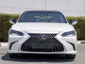 Lexus ES 300h lexus es 300h lexutrungtamsaigon 300x225 - Lexus ES 300h