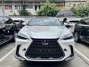 Lexus NX 350h lexus nx 350h lexustrungtamsaigon vn 300x225 - Lexus NX 350h